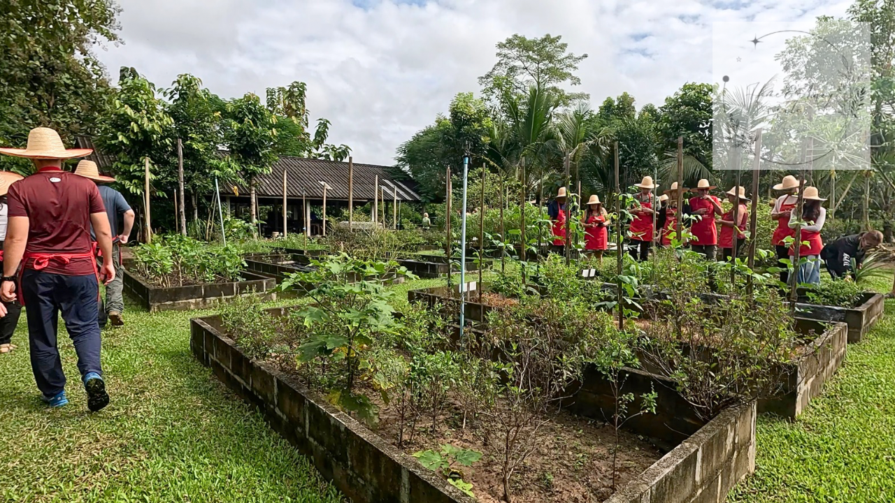 Green fields and herbs at Thai Farm Cooking School in Chiang Mai, Thailand
